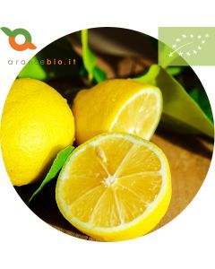 Limoni biologici di Sicilia IGP dal produttore al consumatore. Non trattati in superficie. Buccia edibile